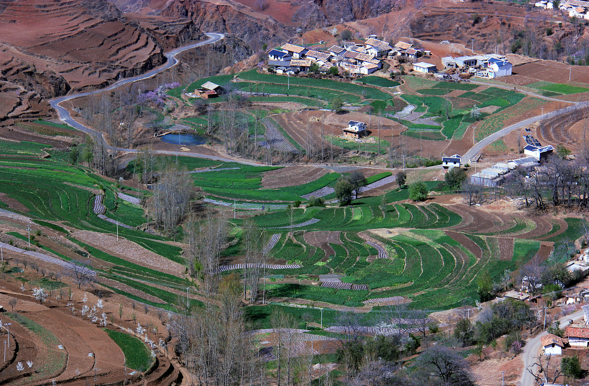 ***_***2014年3月9日,早春三月,贵州省威宁县山区里的麦地,菜地和刚翻