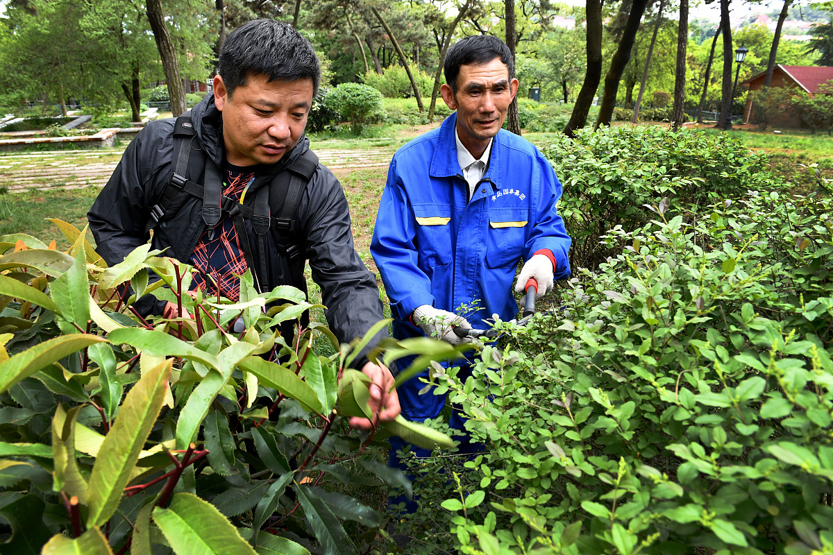 甘肃有什么中专中职学校的中草药种植专业好