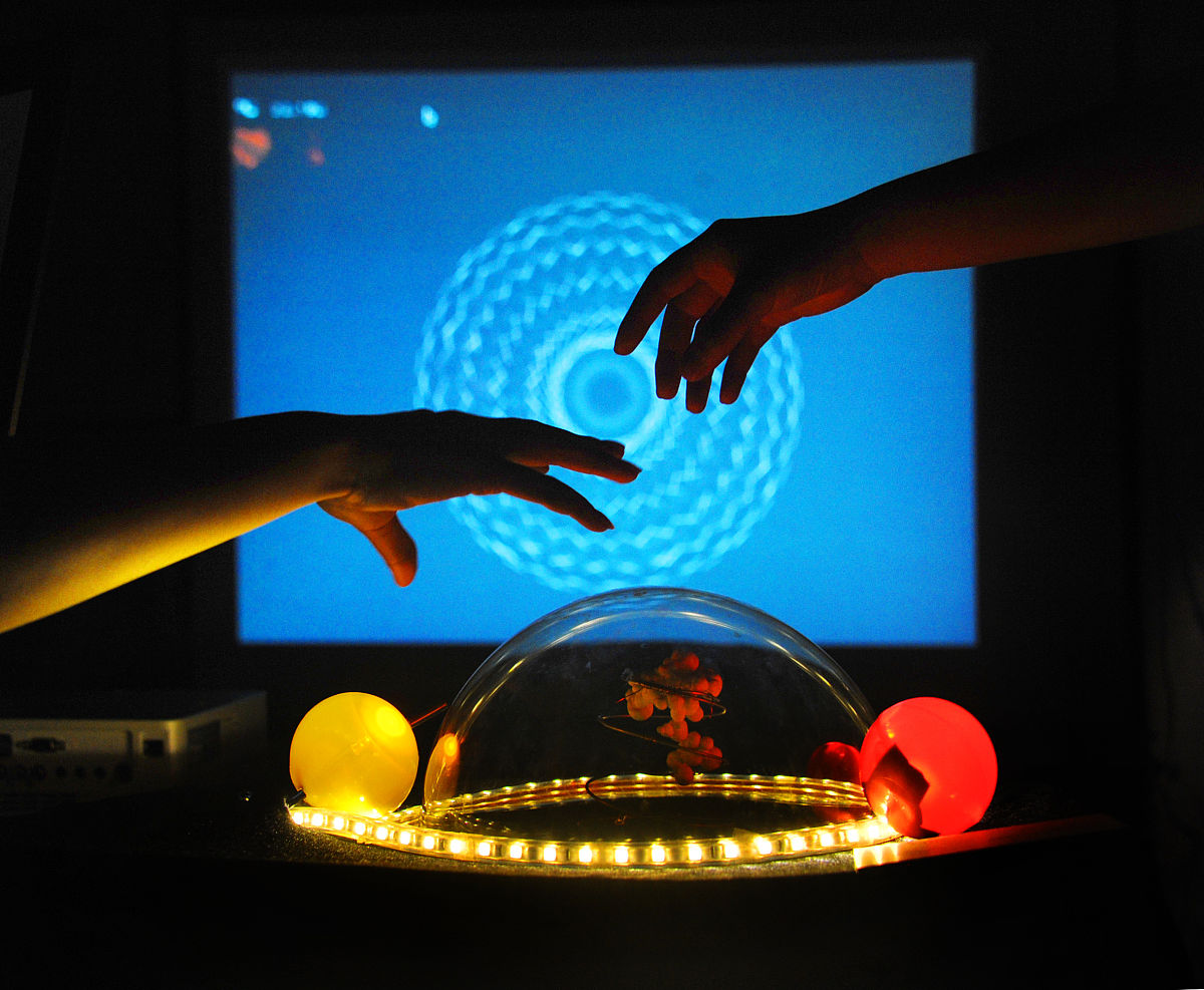 钦州艺术设计学校开设专业都有哪些