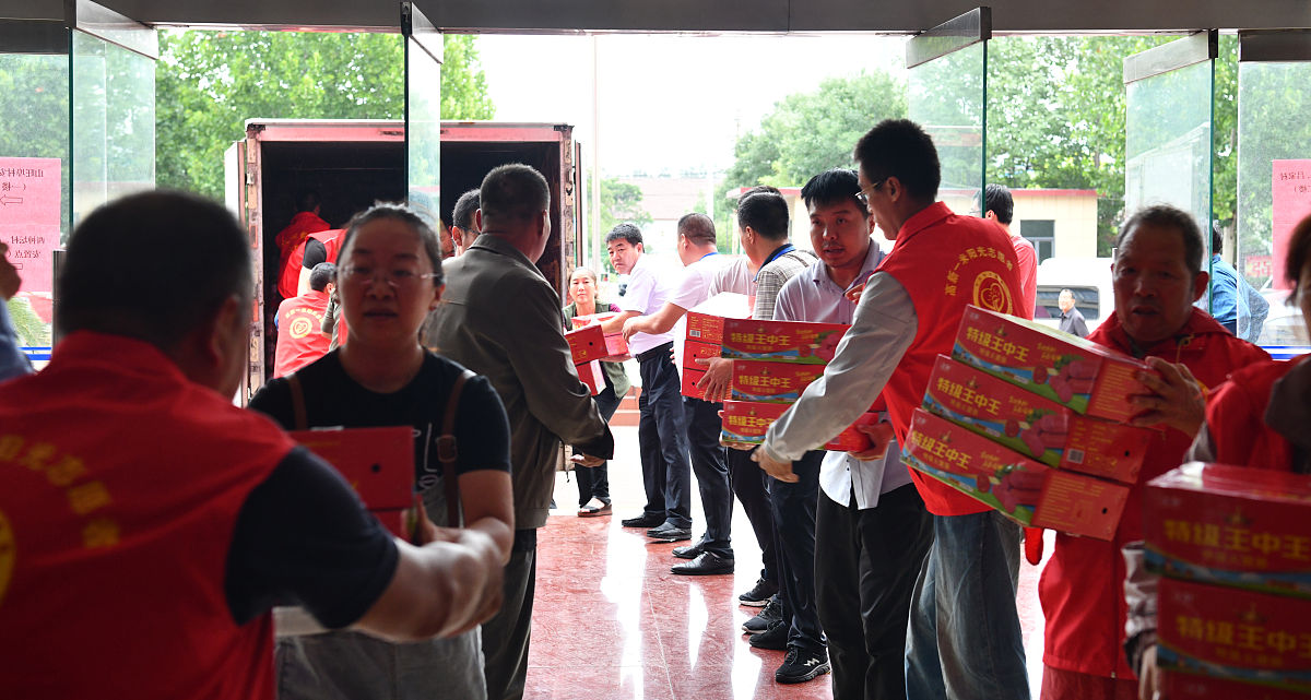 工大志愿服务平台：推动社会公益发展的重要资源