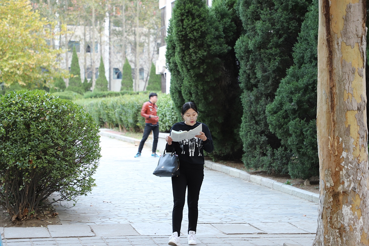 山东外贸职业学院会计专业怎么样？未来发展趋势及就业前景分析