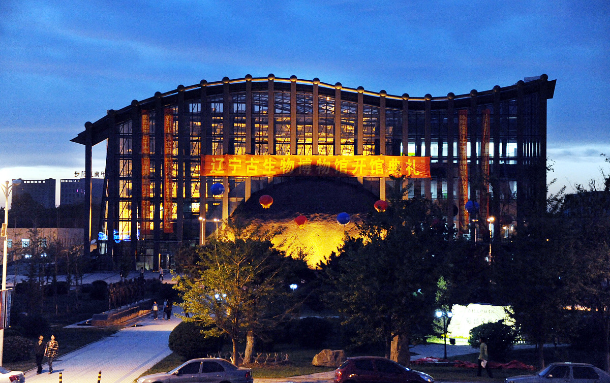 沈阳师范大学古生物学专业：探索生命起源与演化的奥秘