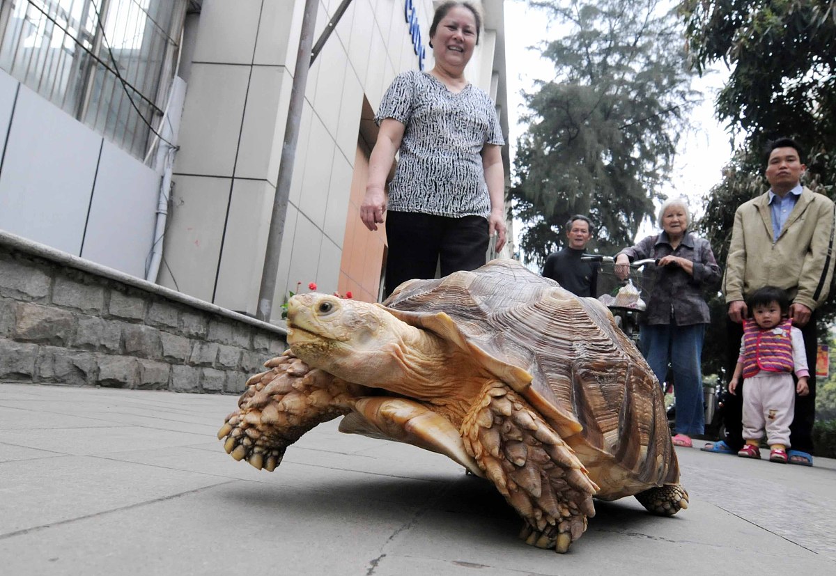 广西工业职业技术学院五年制大专如何