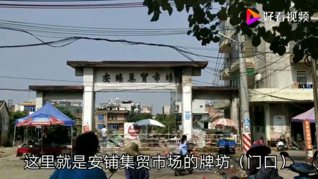 安铺白切鸡不愧是广东四大古镇的美食之一,吃大排档必点