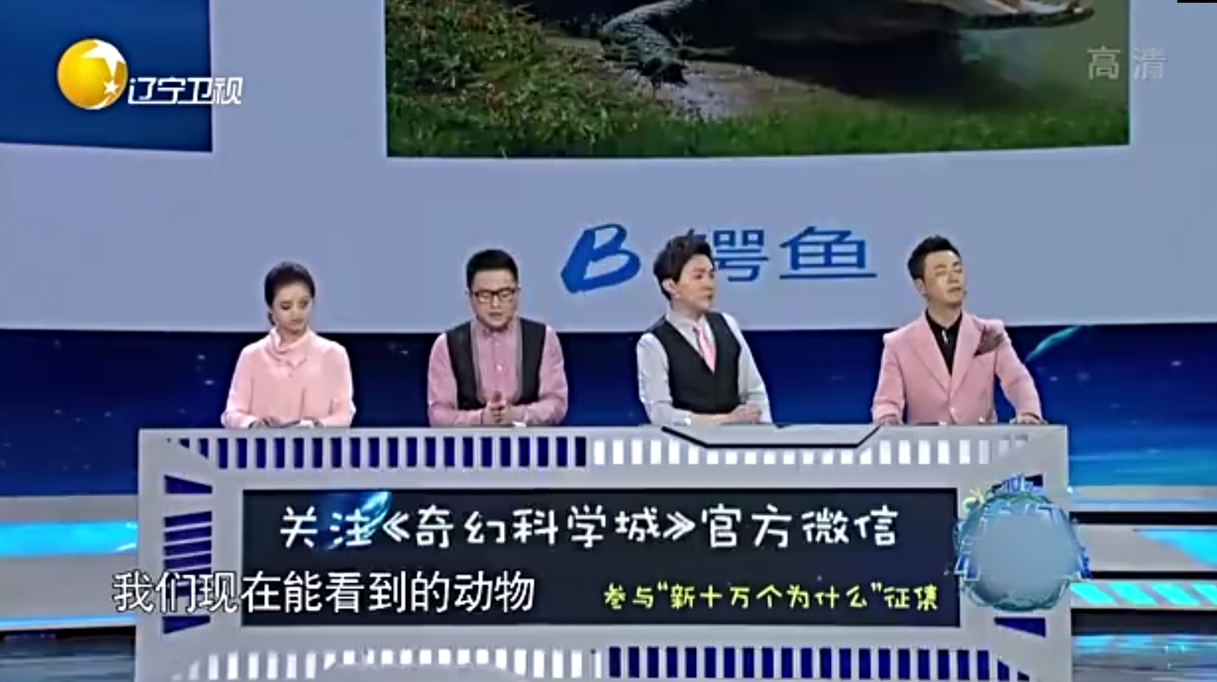 难以想象!鸡鸭鹅都是恐龙的后代,为什么体积这么小?