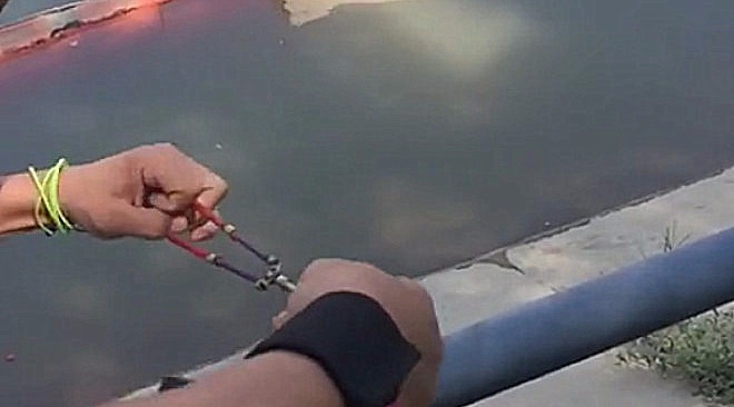 弹弓射鱼镖:这镖法,真的很棒……