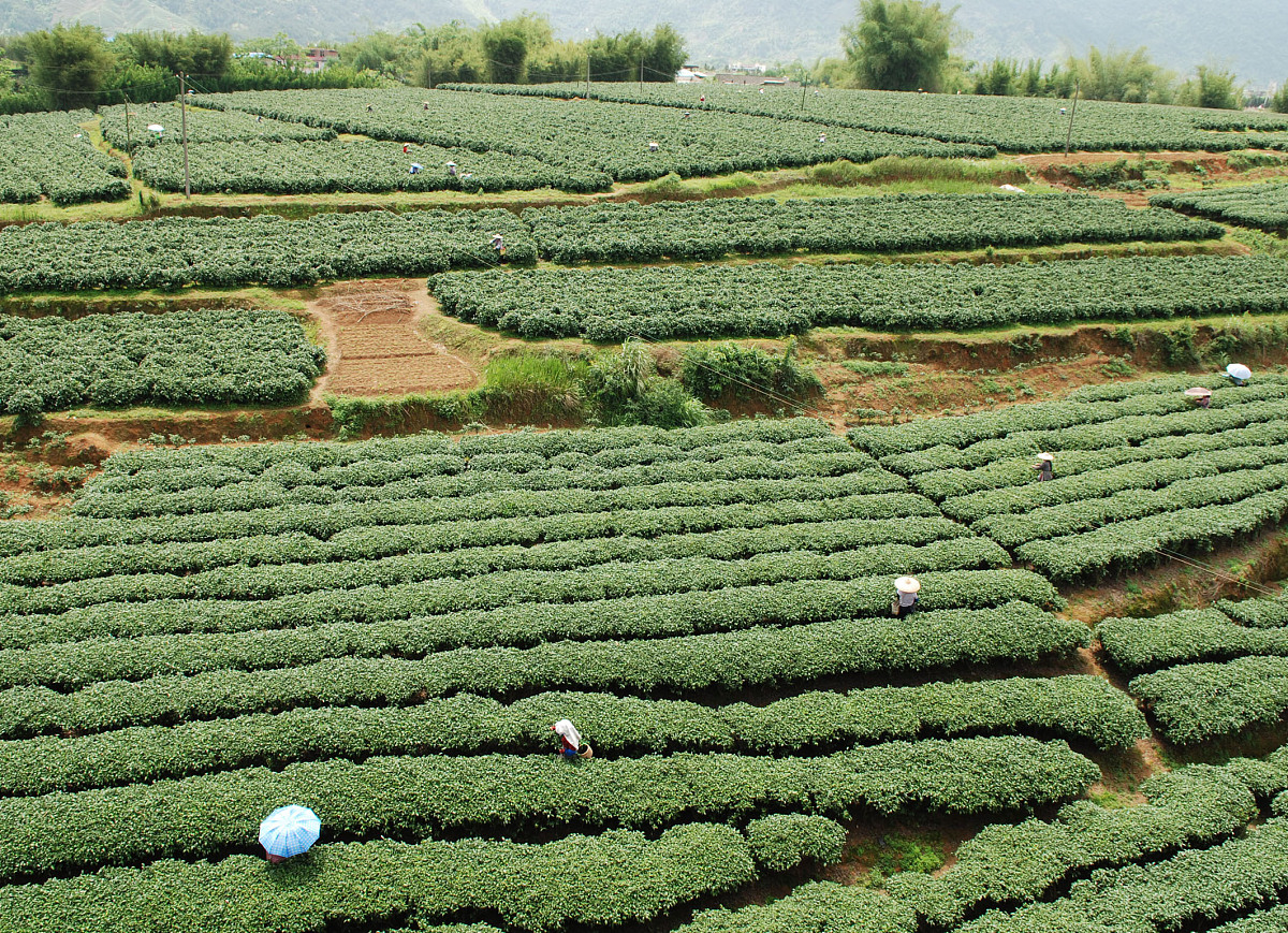 广西生态工程职业技术学院休闲农业专业就业前景如何