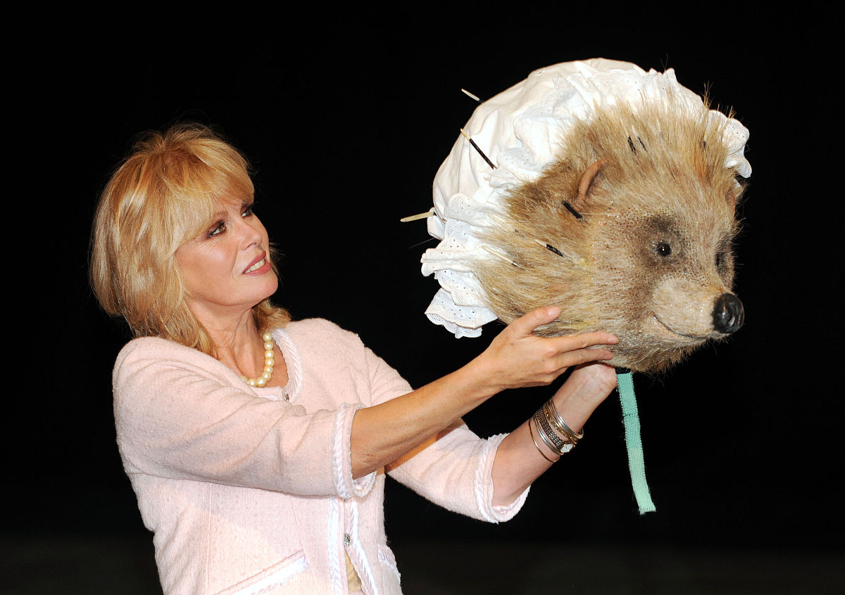 2010年1月12日讯,伦敦,以女演员乔安娜·拉姆利(joanna lumley)为首的