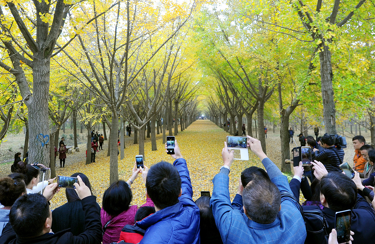 江苏省邳州中等专业学校2021年有哪些招生专业