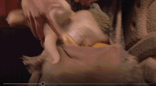 且看12歲的小孩如何評《捉妖2》：胡巴、笨笨，哪裡跑？