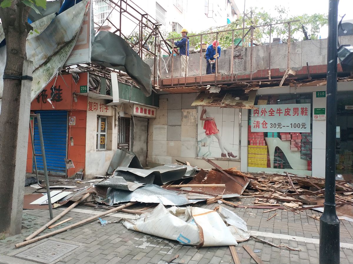 2019年8月9日,为了确保台风季节的行人安全,上海普陀区正抓紧时间清除