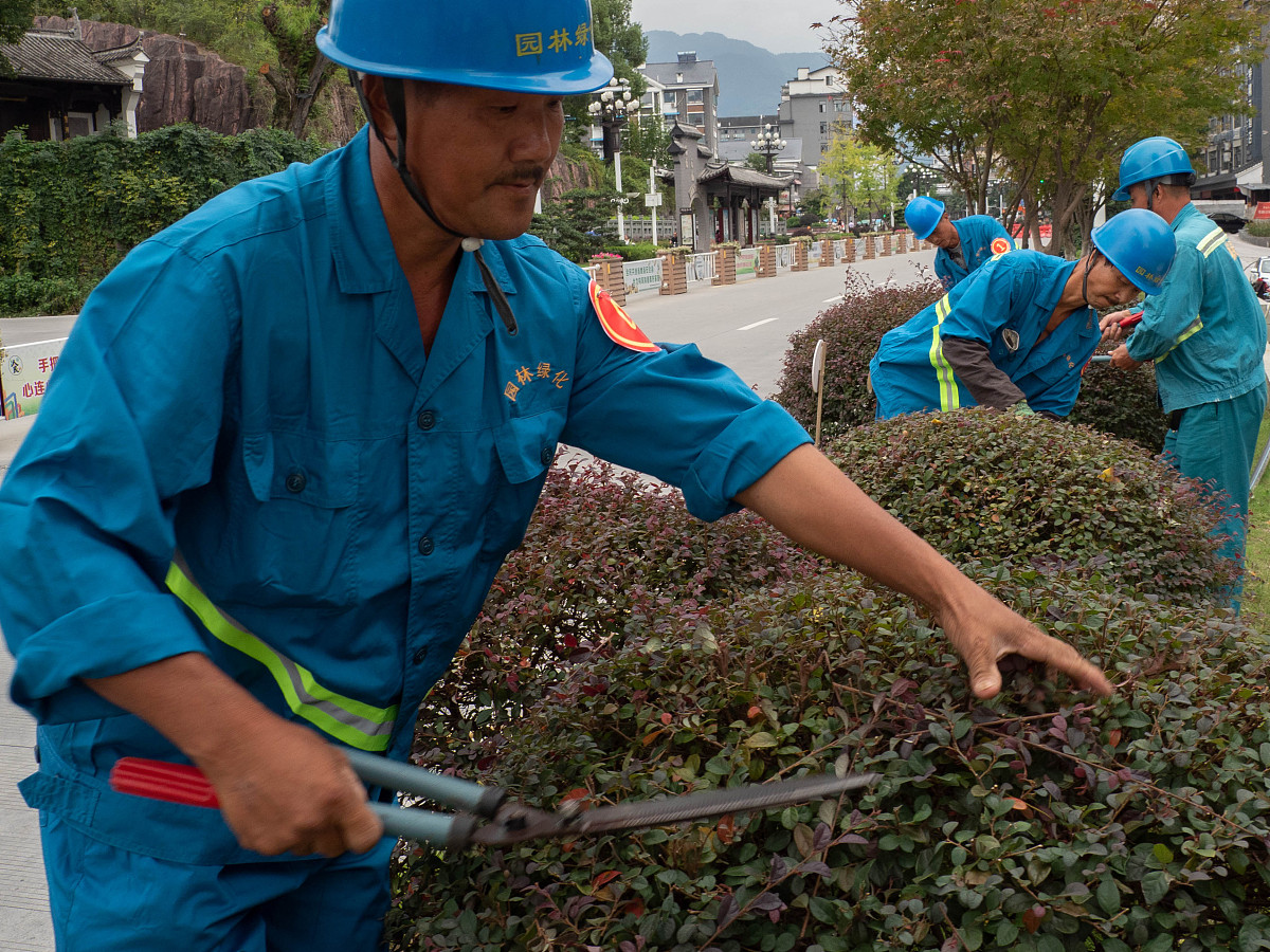 绿化养护劳务班组及人员配置指南 - 组织结构、人员配置、培训、流程与安全