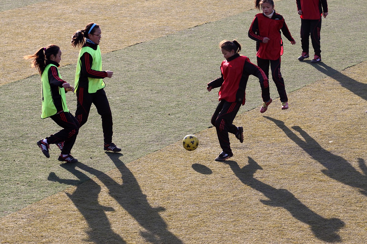 深圳市体育运动学校2023年招生简章 - 报名条件及专业