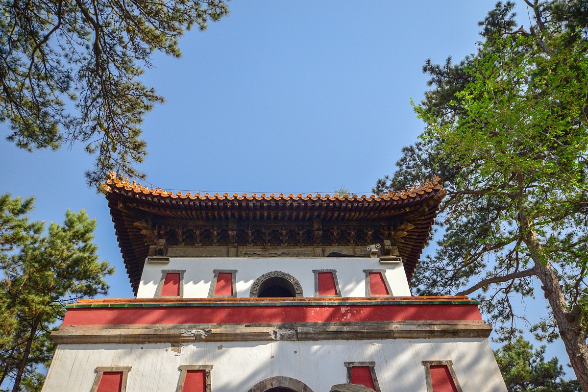 文物保护技术专业就业前景如何？未来发展趋势是什么？