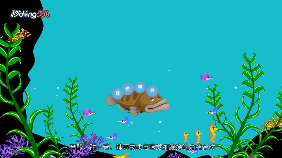 鲶鱼的胡须有什么作用