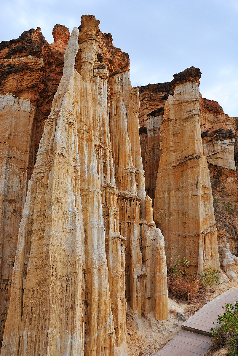 楚雄州体育运动学校2022年报名需要满足哪些条件