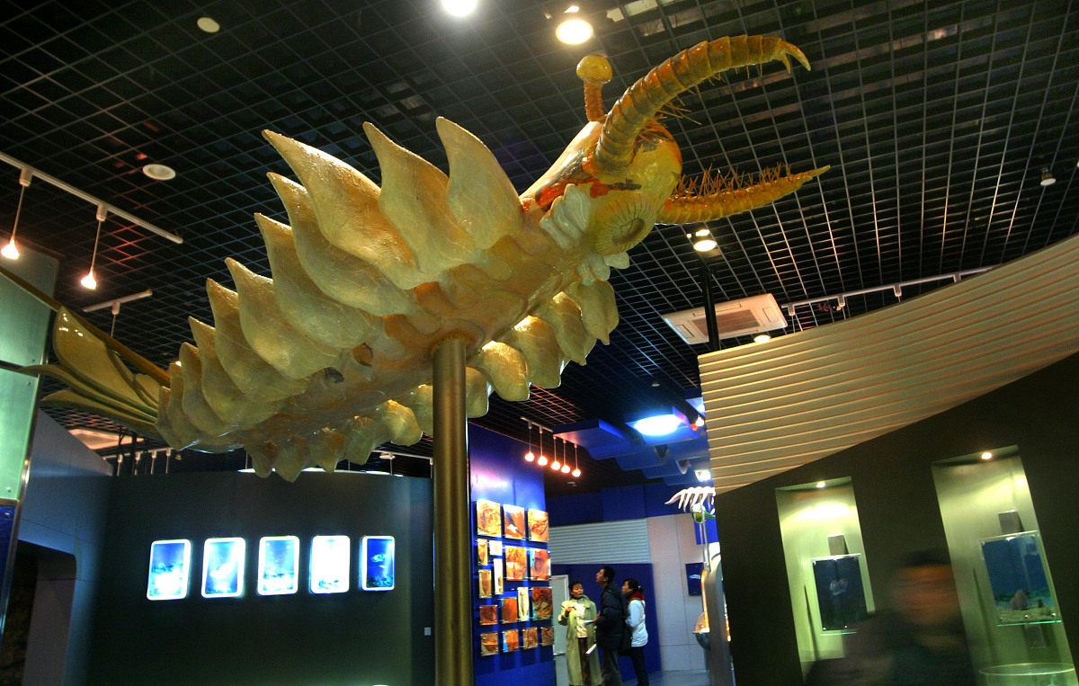 玉溪卫生学校招生办电话及联系方式