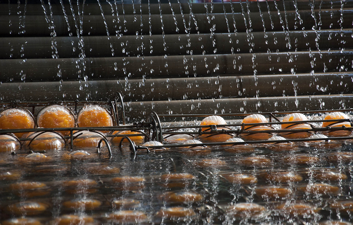 陇南农业学校2021年招生简章 - 培养农业人才，助力乡村振兴