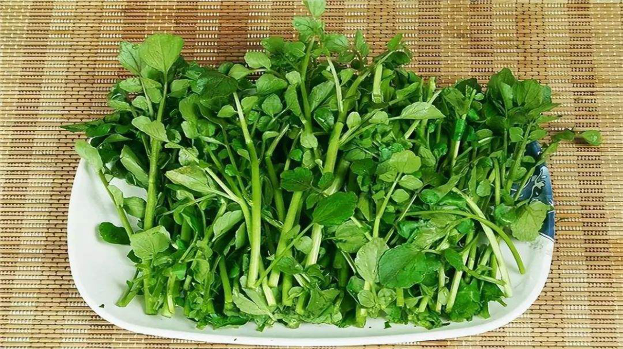 天然的“清肺王”终于找到了,经常吃一点,肺部烟毒清干净!