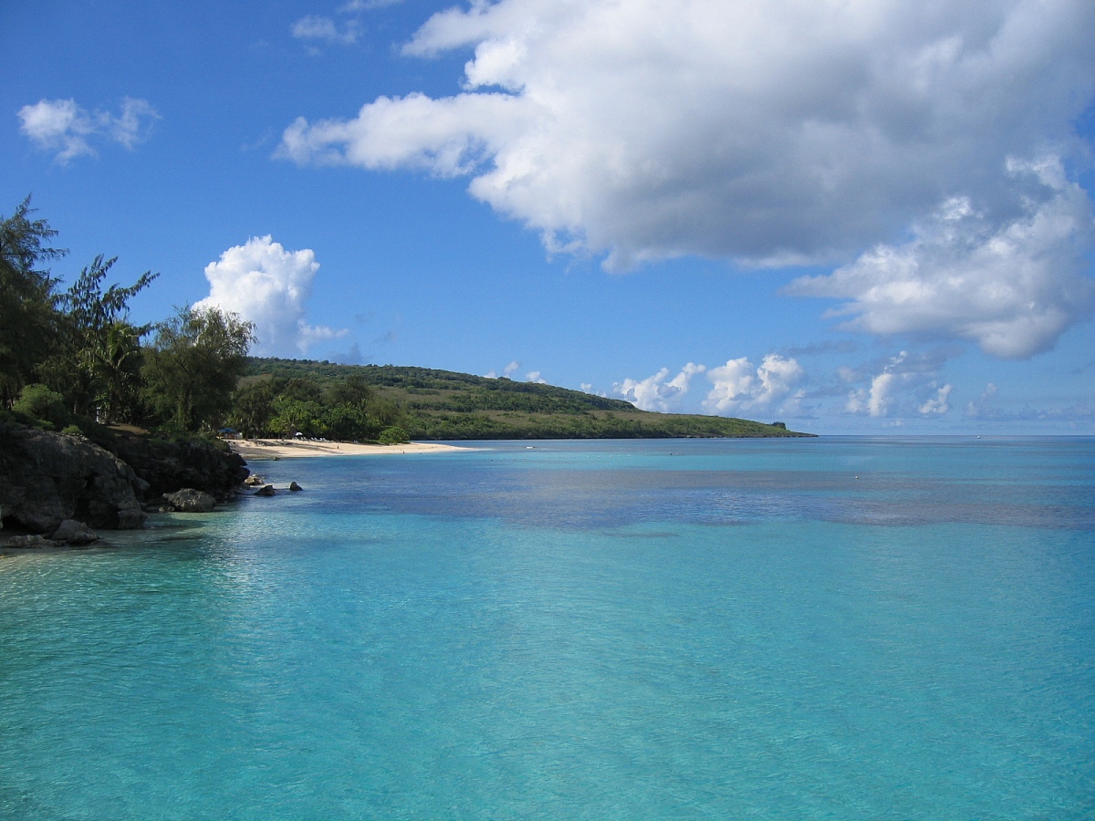 小学作文：描写大海的美丽与力量