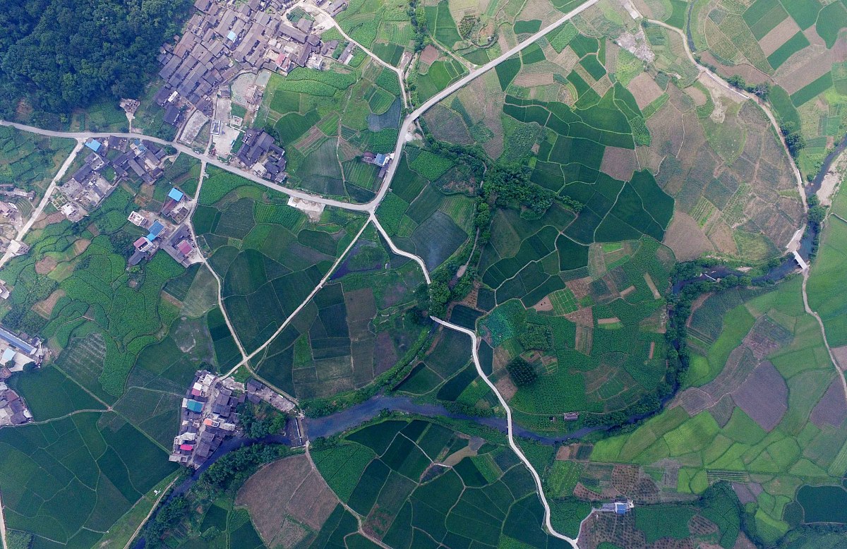 柳州市小学新生报名时间2020：报名流程、所需材料及注意事项