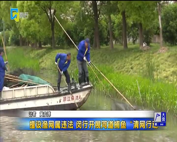 擅设渔网属违法 闵行开展河道捕鱼“清网行动”