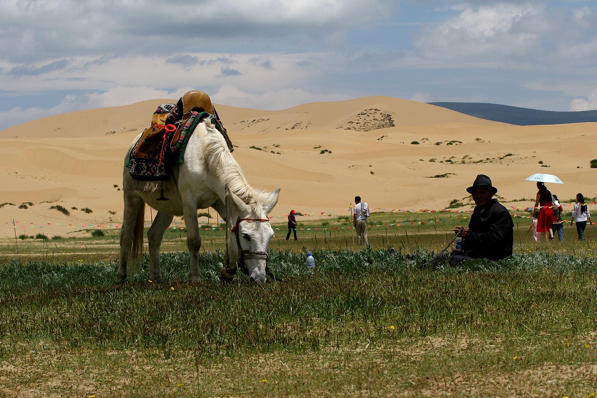 用不同的词语说后边这句话，土壤盐碱化的形成原因主要包括自然因素和人为因素两大类。土地盐碱化的成因分为自然因素和人为因素两种。自然因素包括气候、地质、地貌、水文以及水文地质生物等多种因素