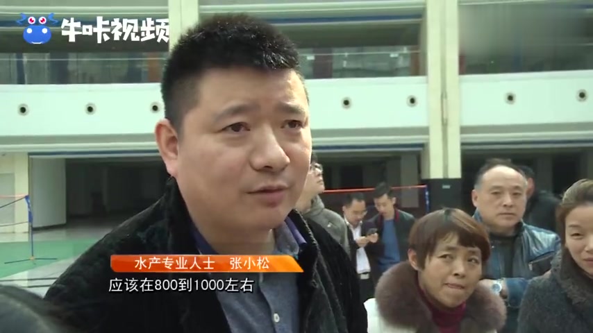 刀鱼、鳕鱼、三文鱼,专家教您如何辨别真假高档水产品