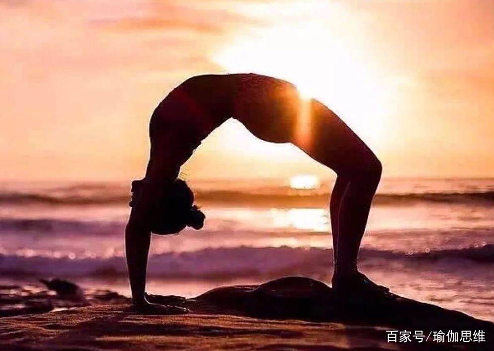 轮式