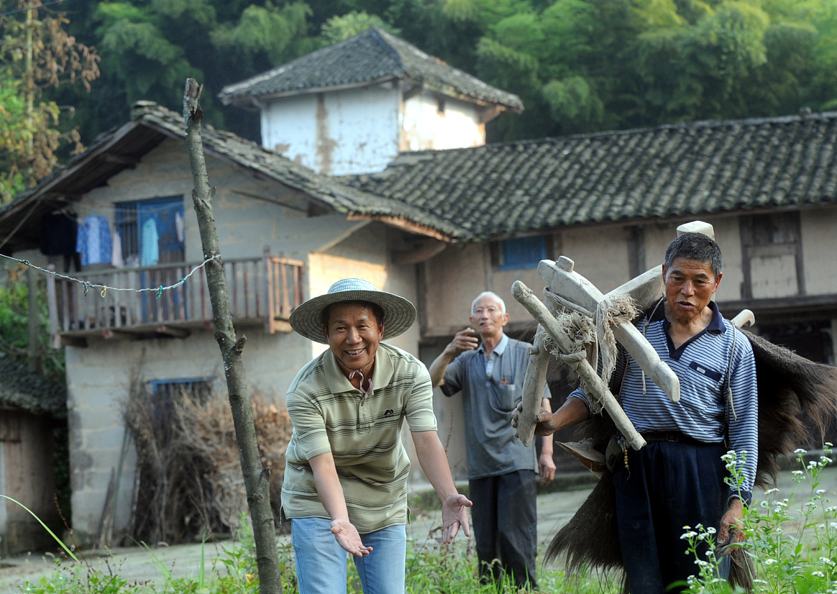 竹山县文峰乡东钦村 - 农业发展潜力巨大