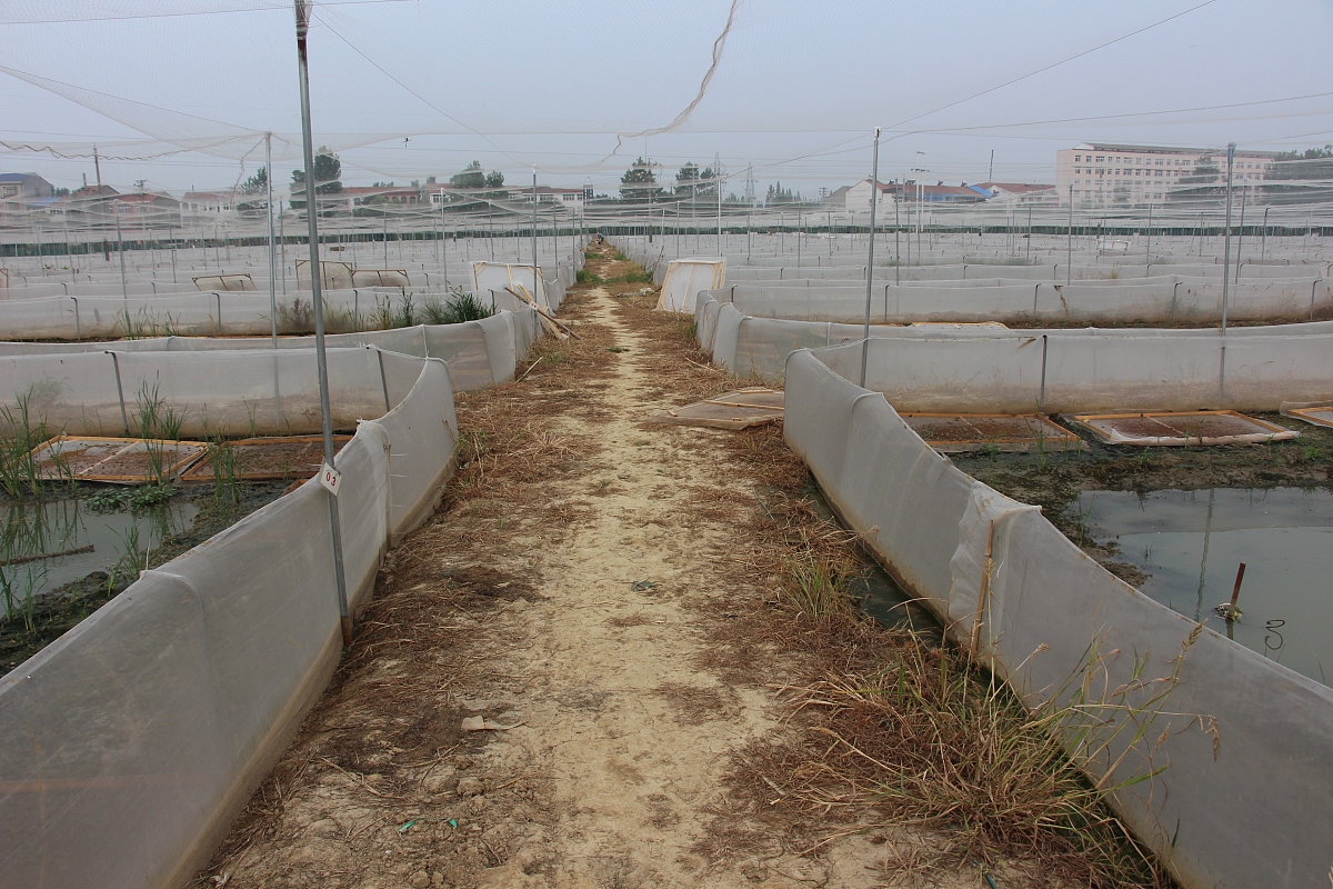 四川省水产学校连锁经营与管理专业好不好发展前景怎样