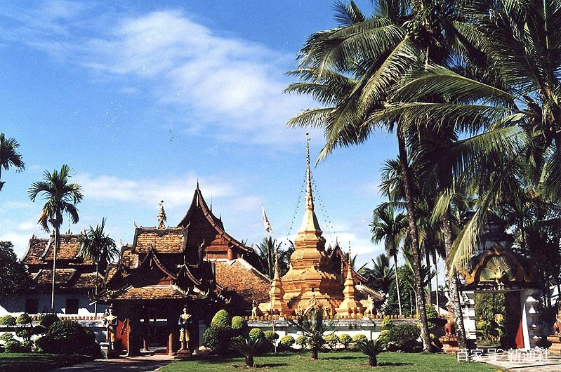 一片叶 一片天中国传统茶文化传承弘扬者--刀