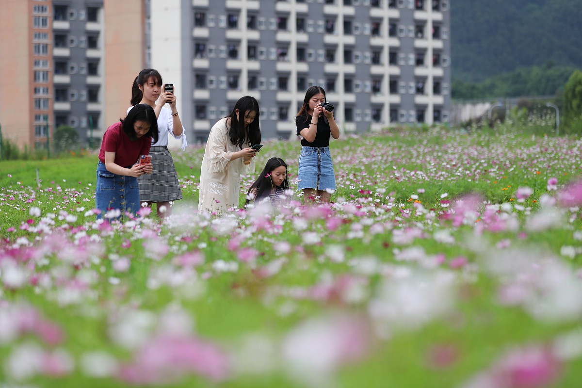 重庆经贸职业学院专业设置及与当地经济发展的关系