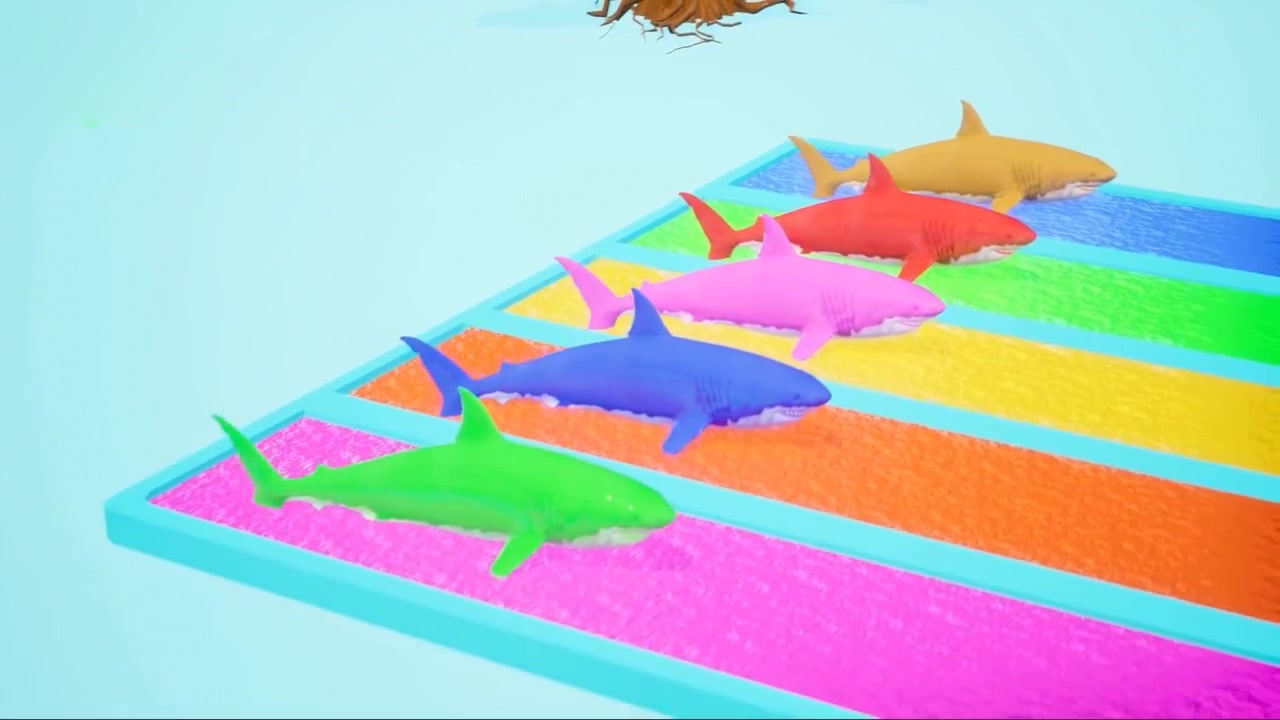 五颜六色的鲨鱼游泳顶起不同颜色的球,大家喜欢什么颜色呢