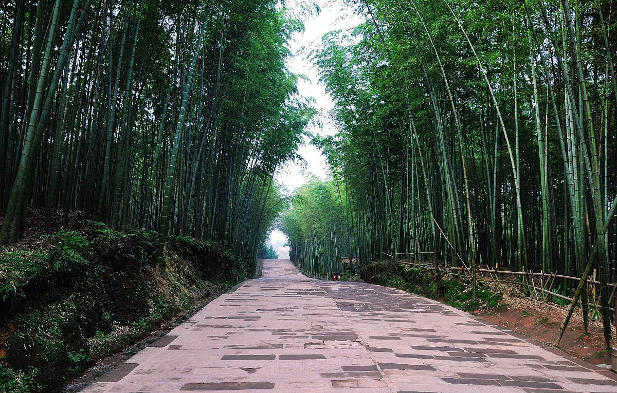 宜宾职业高中排名用发散性思维