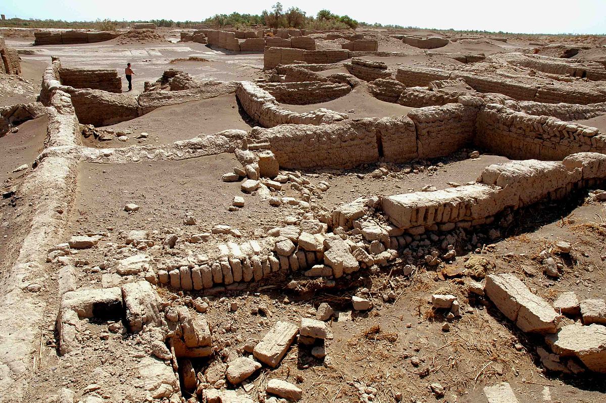 沈阳农业大学专业介绍 - 优势专业、特色专业及发展方向