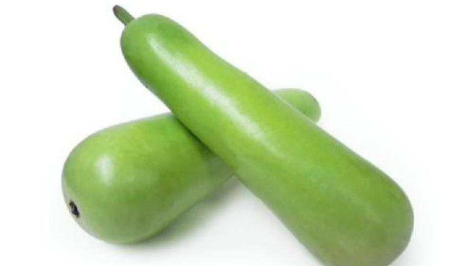 一分钟了解蒲瓜