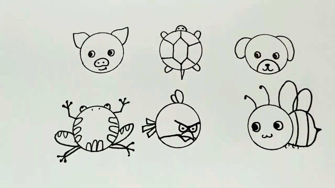 用圆形画各种小动物