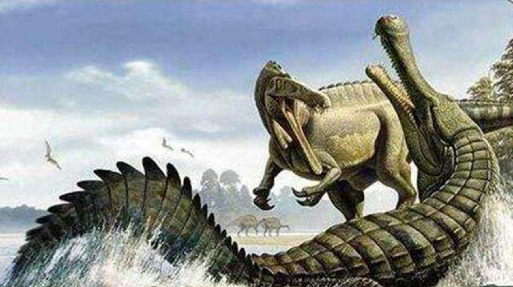 小鸢解说 侏罗纪世界1540在地球上生活过的体形最大的鳄鱼