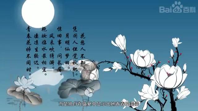 [图]一分钟了解醉桃源·芙蓉