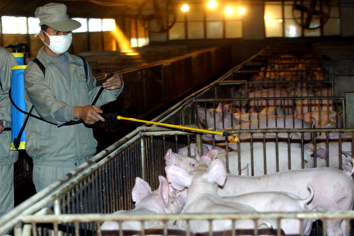 家禽家畜管理办法