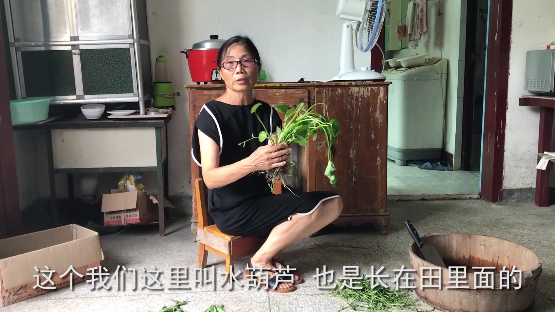 农村婆婆用7种野菜喂养鸭子,32只鸭子抢着吃,不吃饲料也长得快