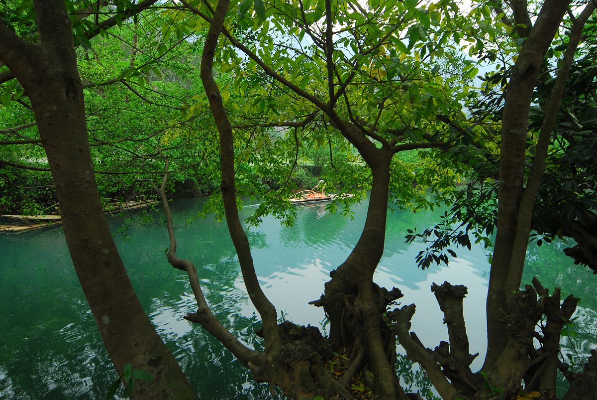 云南省曲靖农业学校五年一贯制大专特色专业 - 培养农业人才，助力乡村振兴