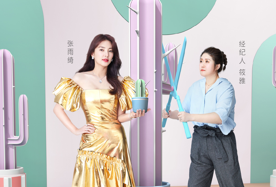 《我和我的经纪人》全新综艺节目,深度解析明