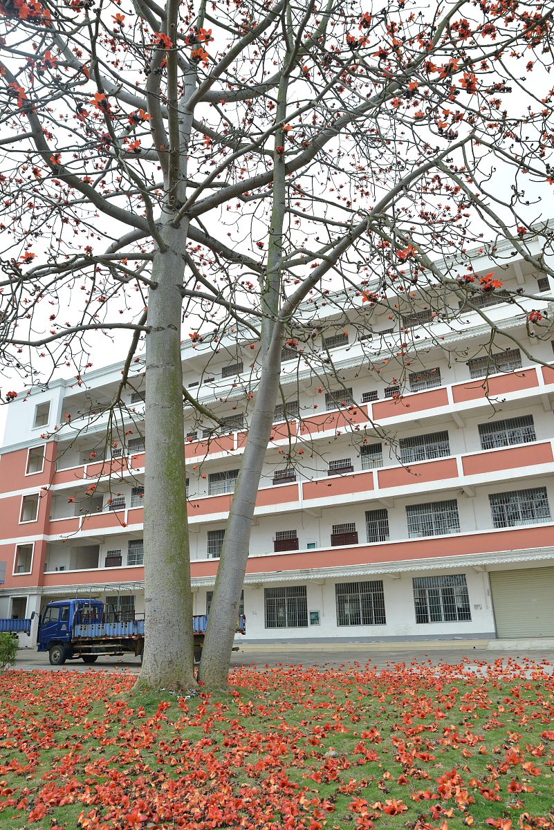 忻城职业技术学校2023年招生简章-怎么样