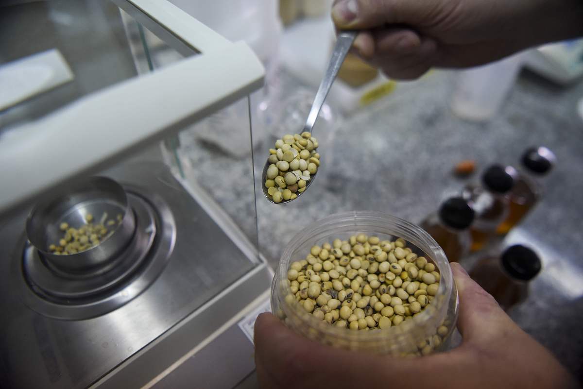 泡过的黄豆放冰箱第二天能用吗