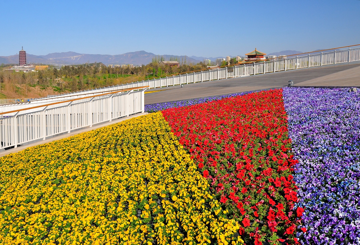 仿写比喻句，描绘春日美景