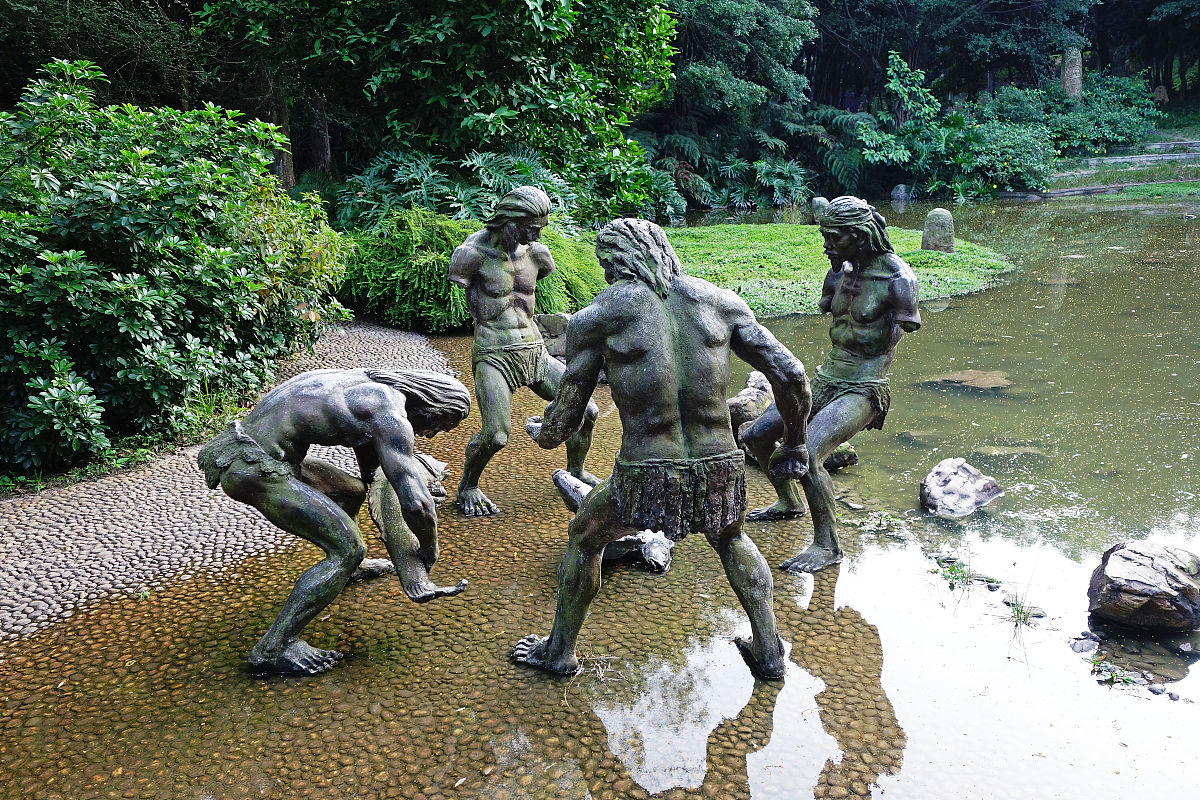 对原始部落进行描述