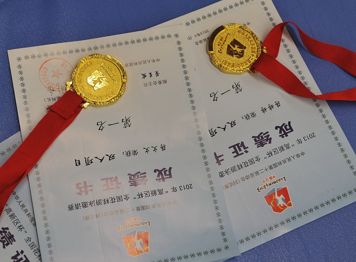 写一份在外国语学院的日语系学生优秀干部奖学金的申请内容包括担任班长加入学院组织部认真工作负责学院的党务旗帜系统内容3000字