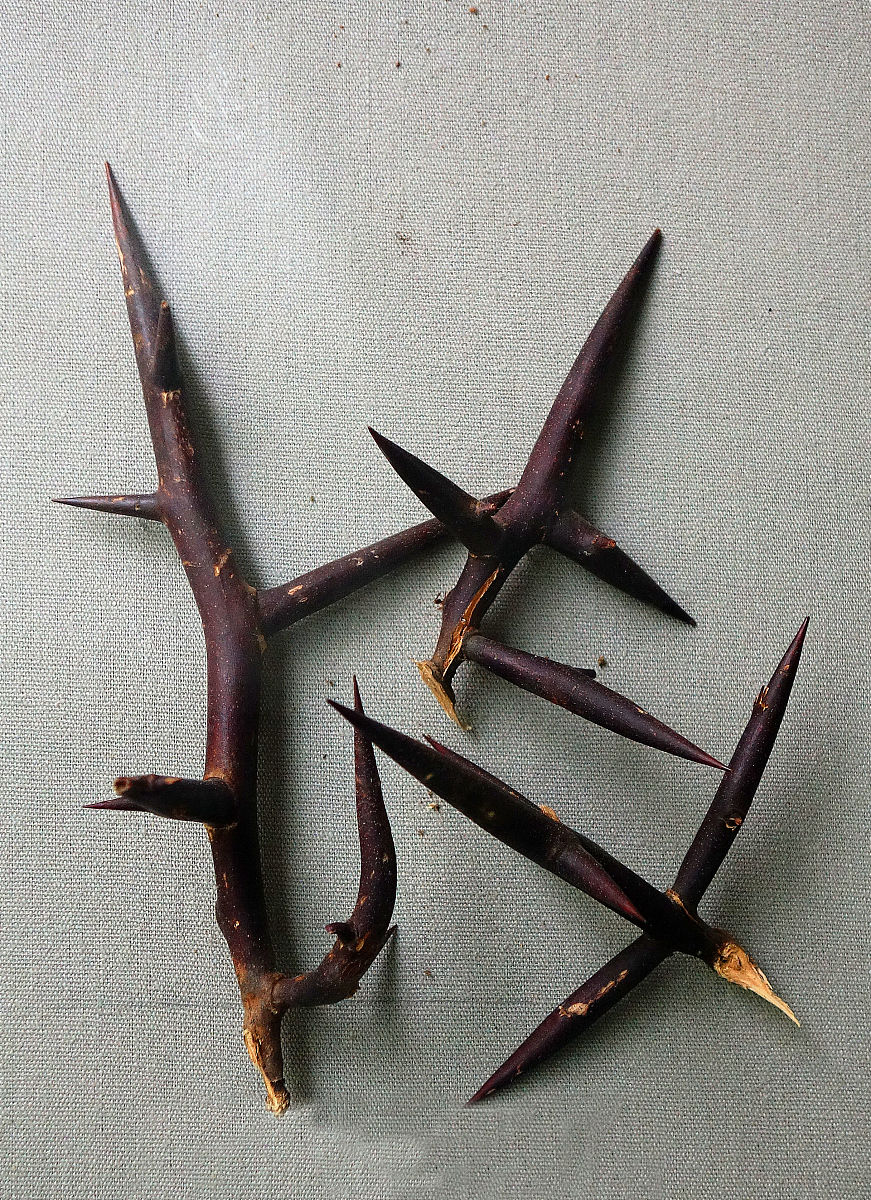 灸刺之道，得气穴为定：针灸治疗的关键原则